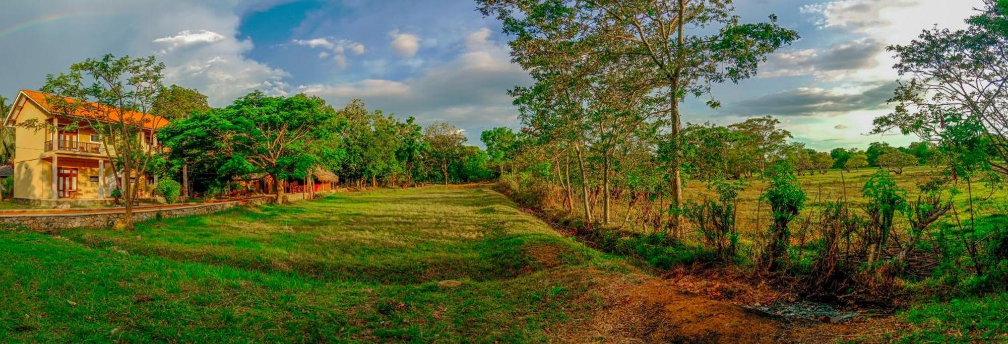 Sigiri Lanka Resort Sigiriya Bagian luar foto